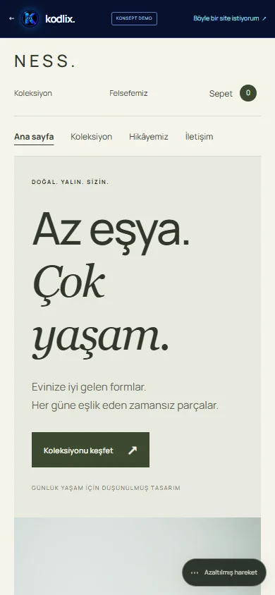 NESS telefon görünümü